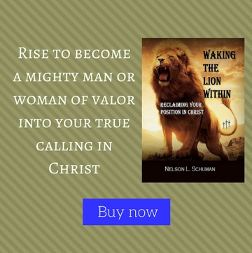 Waking the Lion Within Book